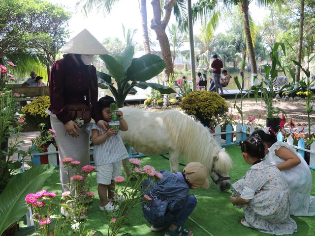 Ngựa l&ugrave;n Pony g&acirc;y ấn tượng mạnh tại Trại rắn Đồng T&acirc;m  - Ảnh 1.