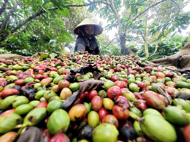 Xuất khẩu tăng tốc sớm- Ảnh 2.