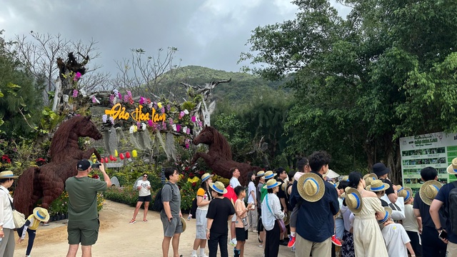 Du lịch Lâm Đồng, Khánh Hòa bội thu dịp Tết Bính Ngọ 2026- Ảnh 3. Du lịch Lâm Đồng, Khánh Hòa bội thu dịp Tết Bính Ngọ 2026- Ảnh 3.