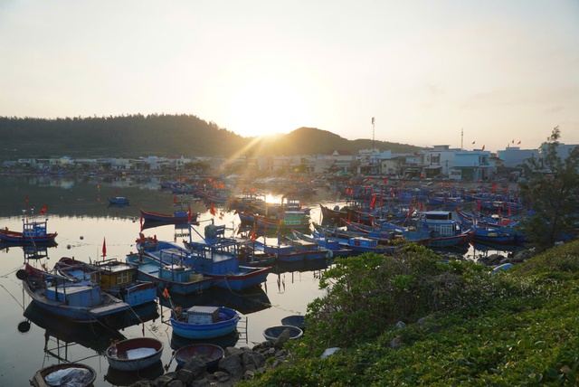 Du xu&acirc;n ở L&yacute; Sơn, c&oacute; g&igrave; hấp dẫn?- Ảnh 9.