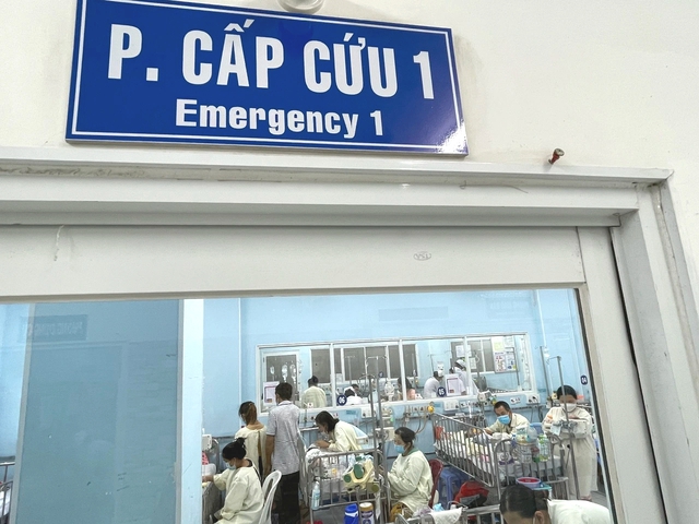 Tình hình cấp cứu, khám bệnh dịp Tết Nguyên đán Bính Ngọ 2026 tại TP.HCM- Ảnh 1. Tình hình cấp cứu, khám bệnh dịp Tết Nguyên đán Bính Ngọ 2026 tại TP.HCM- Ảnh 1.