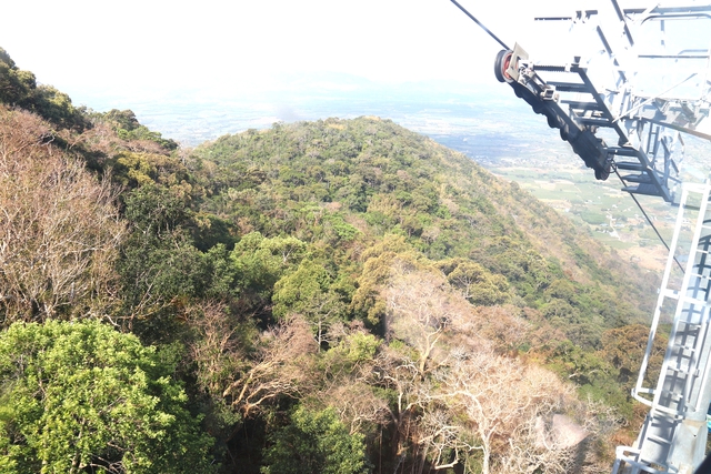 Giải leo núi Tà Kóu 2026: Khám phá thảm thực vật trăm năm ở chùa Tà Kóu - Ảnh 10. Giải leo núi Tà Kóu 2026: Khám phá thảm thực vật trăm năm ở chùa Tà Kóu - Ảnh 10.