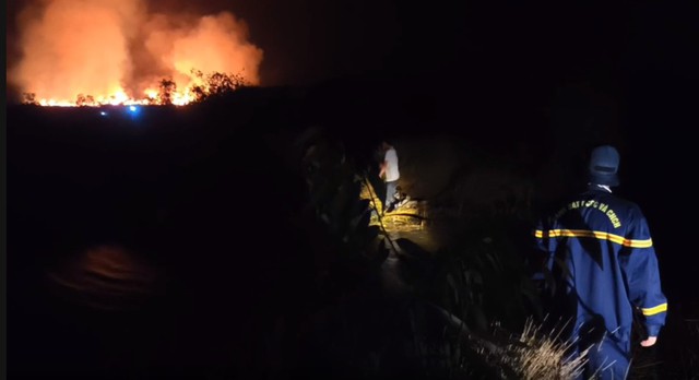 Cháy rừng nơi từng sếu đầu đỏ về ở An Giang - Ảnh 1.