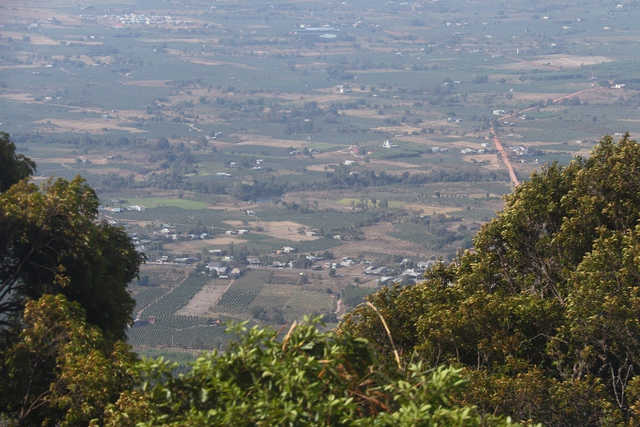 Giải leo núi Tà Kóu 2026: Khám phá thảm thực vật trăm năm ở chùa Tà Kóu - Ảnh 13. Giải leo núi Tà Kóu 2026: Khám phá thảm thực vật trăm năm ở chùa Tà Kóu - Ảnh 13.