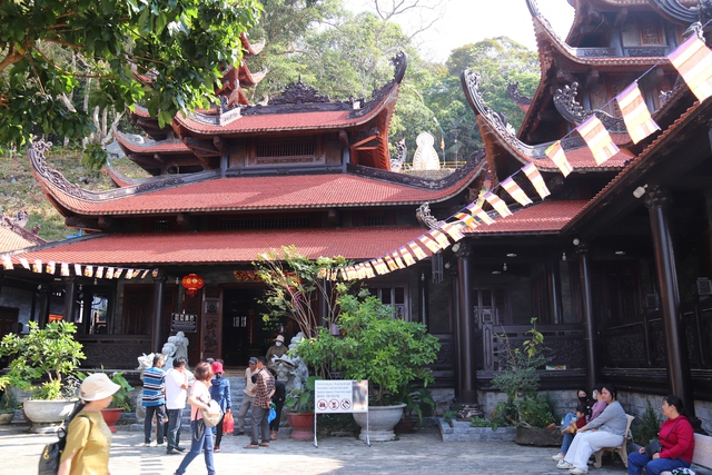 Theo chân vận động viên leo núi ngắm thảm thực vật trăm năm ở chùa Tà Kóu - Ảnh 4.