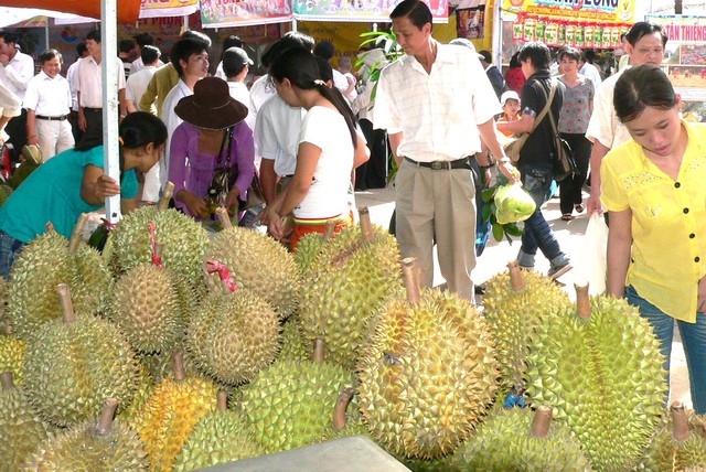 V&igrave; sao gi&aacute; sầu ri&ecirc;ng "nhảy m&uacute;a" ngay đầu Xu&acirc;n B&iacute;nh Ngọ ? - Ảnh 3.