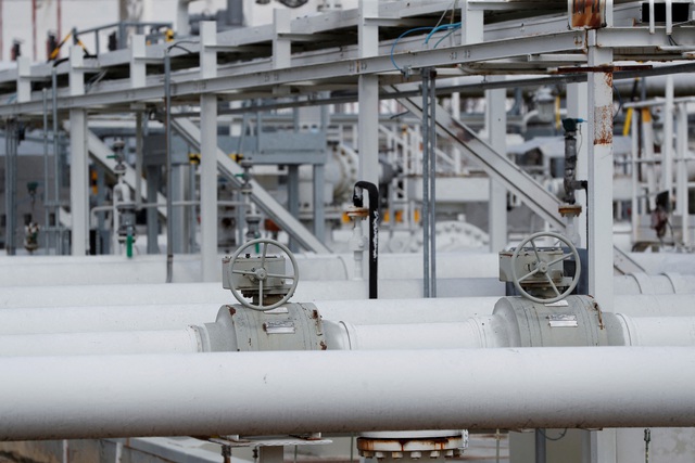 - Ảnh 1. - Ảnh 1.