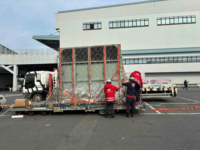 Chuyến hồi hương 'chưa từng c&oacute;' của c&aacute; thể voi L&agrave;o- Ảnh 2.