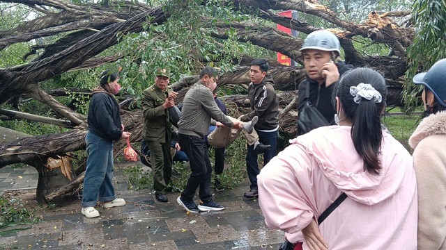H&agrave; Nội: C&acirc;y cổ thụ g&atilde;y đổ, đ&egrave; 2 người bị thương- Ảnh 1.