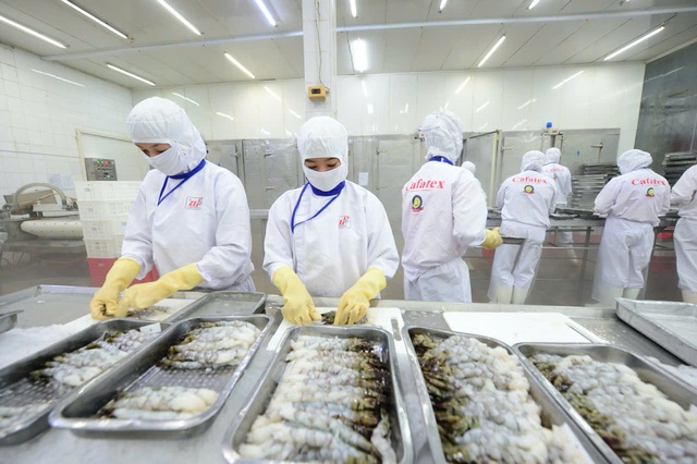 Xuất khẩu thủy sản c&oacute; thể đạt kim ngạch 12 tỉ USD trong năm nay  - Ảnh 1.