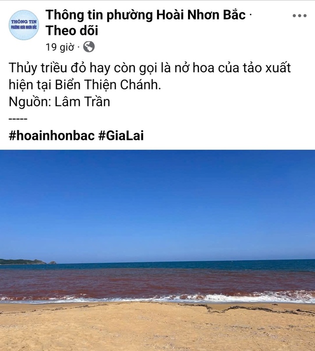 Thực hư hiện tượng thủy triều đỏ tại b&atilde;i biển Gia Lai- Ảnh 1.