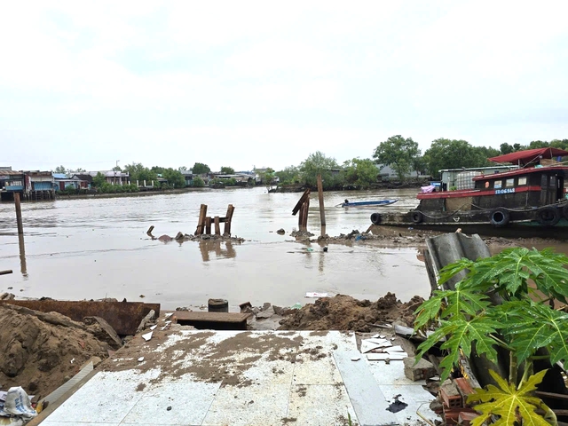 - Ảnh 1. - Ảnh 1.