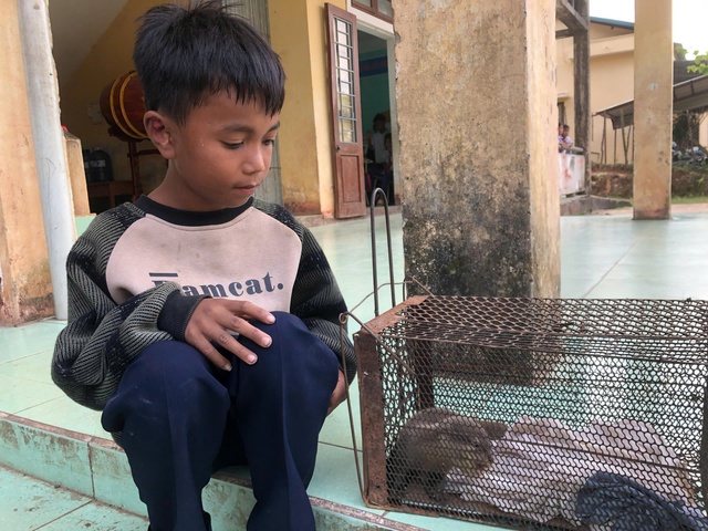 Quảng Trị: Học sinh lớp 4 giao nộp c&aacute; thể r&aacute;i c&aacute; qu&yacute; hiếm- Ảnh 1.