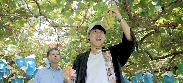 Nhật Bản đẩy mạnh quảng bá nho Shine Muscat ở Việt Nam- Ảnh 1. Nhật Bản đẩy mạnh quảng bá nho Shine Muscat ở Việt Nam- Ảnh 1.