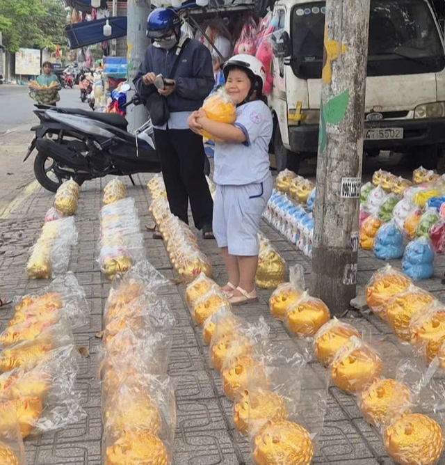 Heo đất 'phủ sóng' khắp các tuyến đường, người trẻ mua để 'đựng' ước mơ - Ảnh 6.