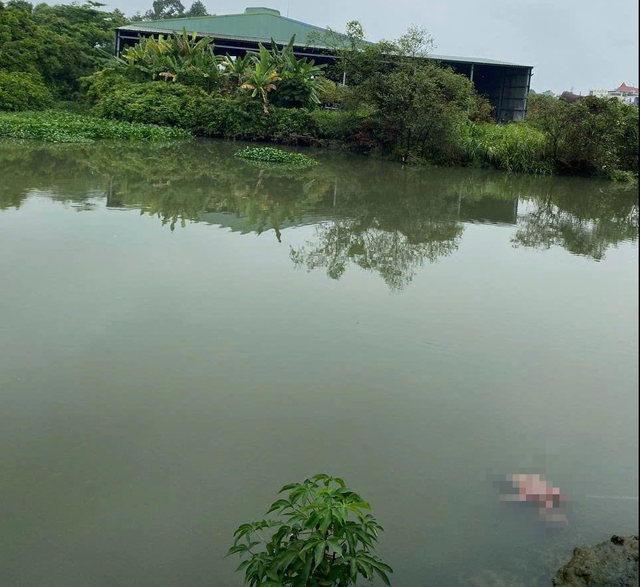 TP.HCM: Phát hiện thi thể cụ ông trôi dạt trên sông - Ảnh 1.