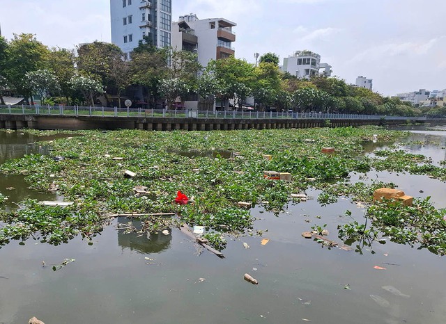 Rác và lục bình ngập kênh Nhiêu Lộc - Thị Nghè- Ảnh 2. Rác và lục bình ngập kênh Nhiêu Lộc - Thị Nghè- Ảnh 2.