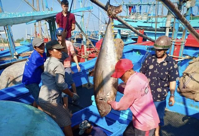 Quyết liệt gỡ 'thẻ v&agrave;ng' IUU- Ảnh 2.