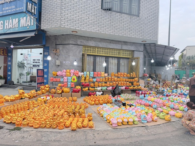 Heo đất 'phủ sóng' khắp các tuyến đường, người trẻ mua để 'đựng' ước mơ - Ảnh 1.