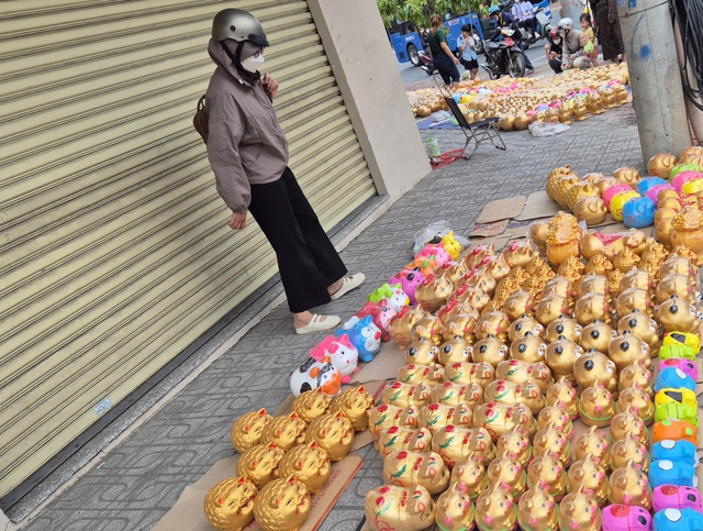 Heo đất 'phủ sóng' khắp các tuyến đường, người trẻ mua để 'đựng' ước mơ - Ảnh 3.