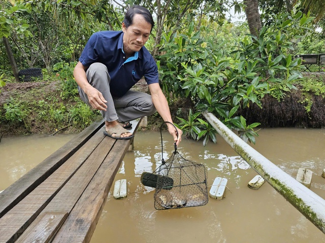 Nuôi ngọc trai ở cù lao để làm du lịch - Ảnh 1.