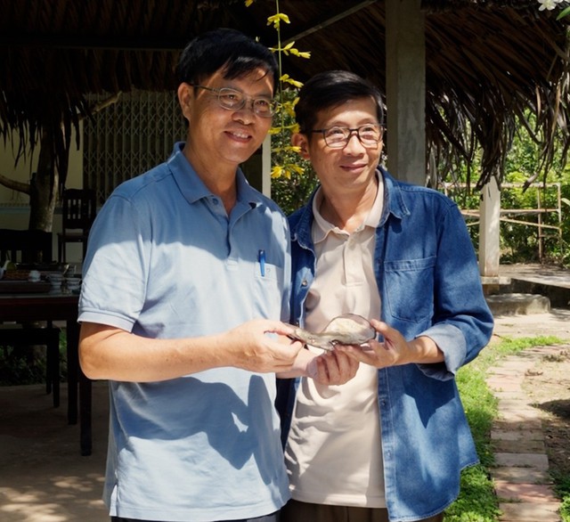 Nuôi ngọc trai ở cù lao để làm du lịch - Ảnh 3.