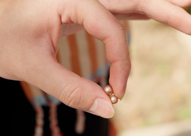 Nuôi ngọc trai ở cù lao để làm du lịch - Ảnh 2.