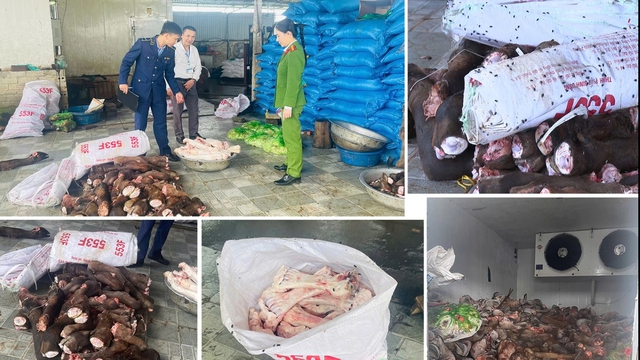 Bắt gần 6 tấn xương trâu, bò bốc mùi hôi thối chuẩn bị bán cho quán phở - Ảnh 1.