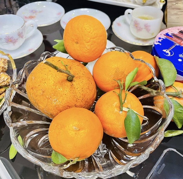 Trend ăn cam b&ugrave; chấm mắm ruốc g&acirc;y 'sốt': C&oacute; vị như thế n&agrave;o? - Ảnh 4.