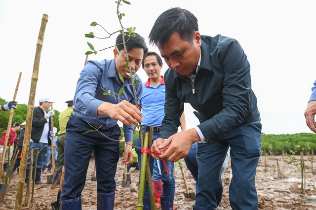 Hưởng ứng Tết trồng cây 2026: Góp thêm 9.000 cây vào 'kho báu' đồng bằng sông Hồng - Ảnh 1.