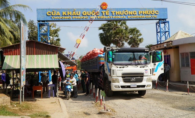 Hỏa tốc th&aacute;o gỡ &ugrave;n tắc h&agrave;ng nhập khẩu ở cảng- Ảnh 1.