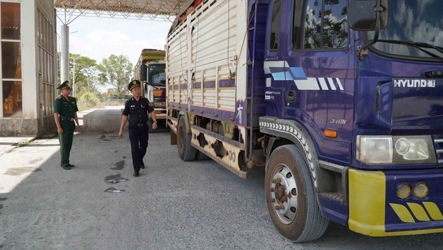 Tin tức đặc biệt tr&ecirc;n b&aacute;o in Thanh Ni&ecirc;n 5.2.2026 - Ảnh 1.