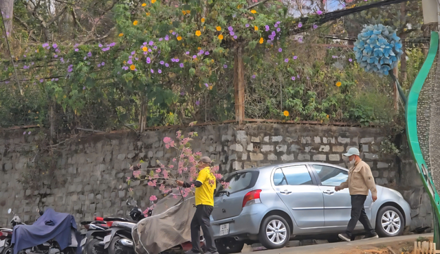C&ocirc;ng an mời l&agrave;m việc người đ&agrave;n &ocirc;ng chặt mai anh đ&agrave;o Đ&agrave; Lạt- Ảnh 1.