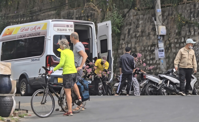 C&ocirc;ng an mời l&agrave;m việc người đ&agrave;n &ocirc;ng chặt mai anh đ&agrave;o Đ&agrave; Lạt- Ảnh 2.