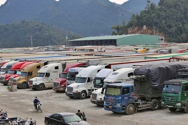 Ch&iacute;nh phủ tạm dừng Nghị định 46 đến hết ng&agrave;y 15.4- Ảnh 1.