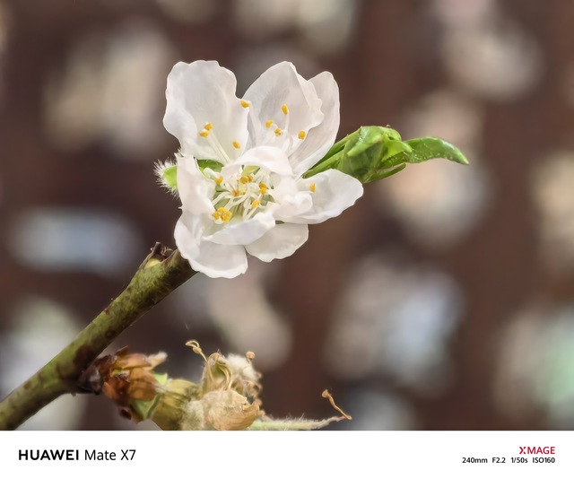 Tết hai miền: Quen m&agrave; lạ qua những khung h&igrave;nh đời thường - Ảnh 3.