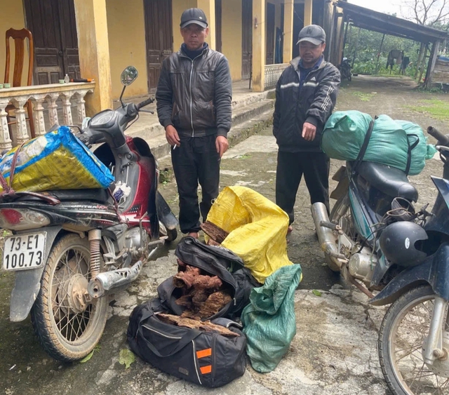 Quảng Trị: Bị khởi tố v&igrave; vận chuyển 43 kg thịt sơn dương- Ảnh 2.