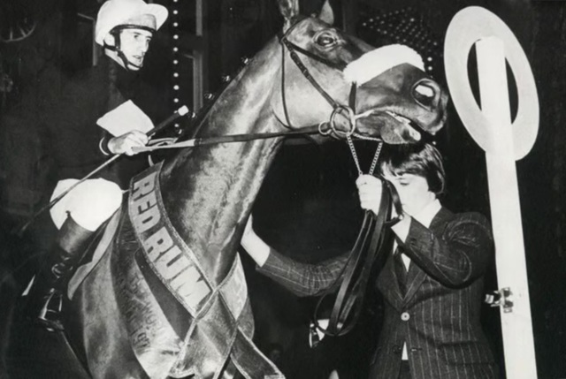 Những con ngựa nổi tiếng trong lịch sử - Ảnh 2.