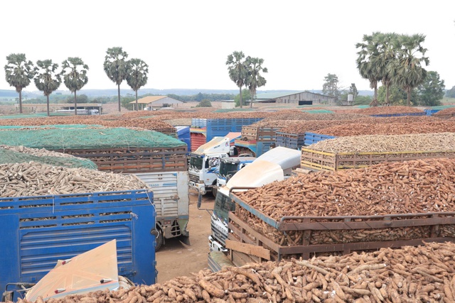 H&agrave;ng h&oacute;a tại c&aacute;c cửa khẩu ở T&acirc;y Ninh đ&atilde; th&ocirc;ng suốt - Ảnh 1.