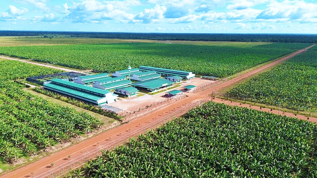 Thị trường L&agrave;o, Campuchia ng&agrave;y c&agrave;ng quan trọng- Ảnh 3.