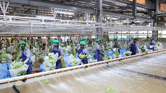 Thị trường L&agrave;o, Campuchia ng&agrave;y c&agrave;ng quan trọng- Ảnh 4.