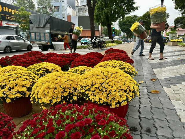 Chợ hoa tết TP . HCM 2026: Sắc m&agrave;u m&ugrave;a xu&acirc;n v&agrave; sức mua tăng cao - Ảnh 1.