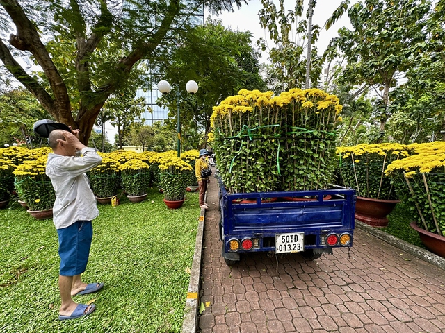 Chợ hoa tết TP . HCM 2026: Sắc m&agrave;u m&ugrave;a xu&acirc;n v&agrave; sức mua tăng cao - Ảnh 3.