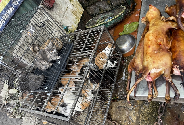 'Phố thịt ch&oacute;' duy nhất c&ograve;n lại ở H&agrave; Nội giờ ra sao?- Ảnh 2.