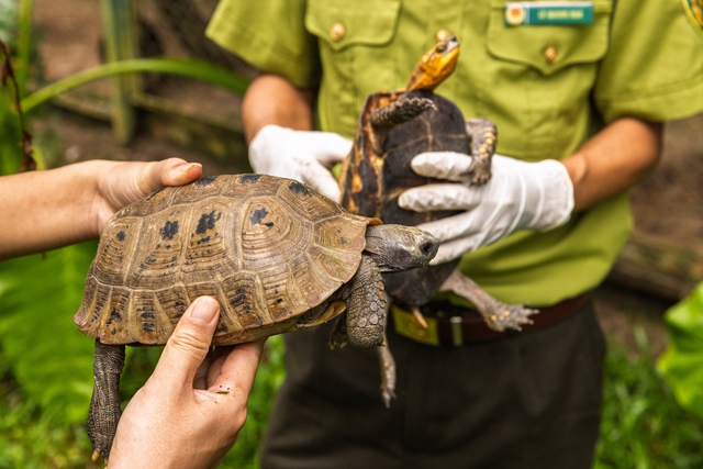 Khởi động Dự &aacute;n Đức - Việt về bảo tồn tại c&aacute;c khu rừng đặc dụng - Ảnh 1.