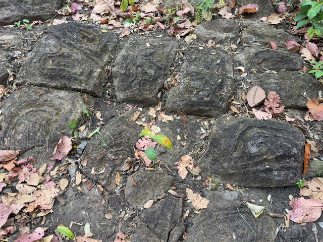 Ngỡ ng&agrave;ng b&atilde;i đ&aacute; c&oacute; họa tiết lạ giữa Vườn quốc gia Y&oacute;k Đ&ocirc;n- Ảnh 6.