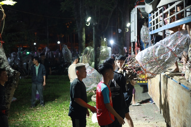 Đ&ecirc;m mưu sinh ở chợ hoa tết  - Ảnh 8.