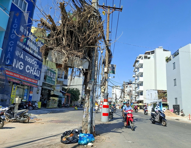 L&ugrave;m c&acirc;y kh&ocirc; treo tr&ecirc;n trụ điện- Ảnh 1.