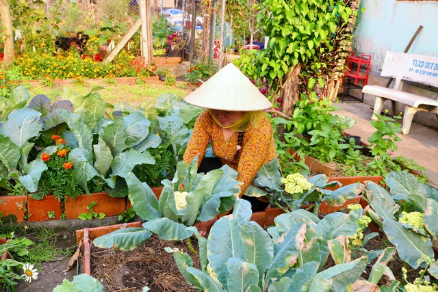 Vườn rau xanh mướt, rực rỡ sắc hoa trong l&ograve;ng th&agrave;nh phố - Ảnh 5.