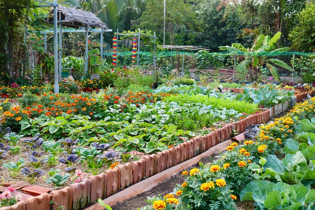 Vườn rau xanh mướt, rực rỡ sắc hoa trong l&ograve;ng th&agrave;nh phố - Ảnh 3.